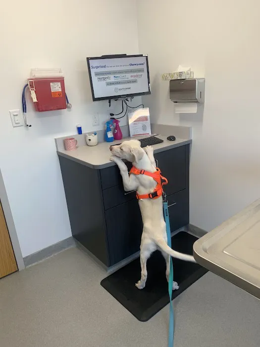 South Shore Veterinary Hospital 1