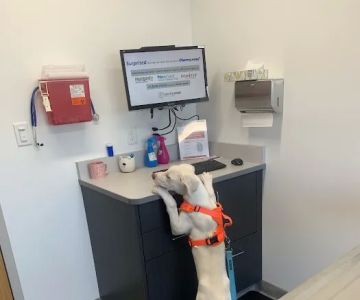 South Shore Veterinary Hospital