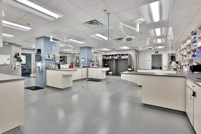 South Shore Veterinary Hospital 9