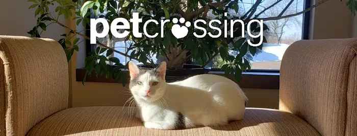 Pet Crossing Animal Hospital & Dental Clinic 9