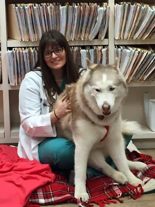 Pet Crossing Animal Hospital & Dental Clinic 8