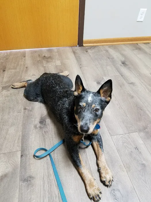 Burnsville Parkway Animal Hospital 4