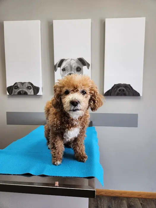 Burnsville Parkway Animal Hospital 7
