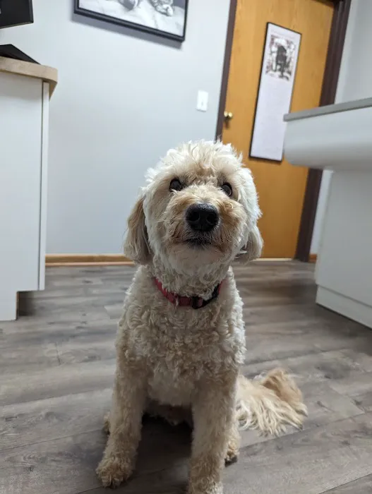 Burnsville Parkway Animal Hospital 1