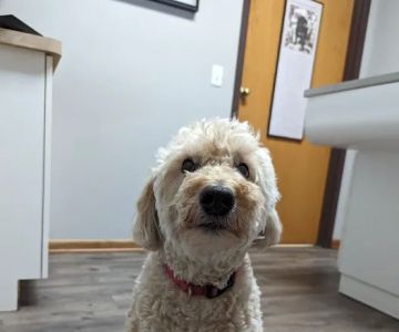 Burnsville Parkway Animal Hospital