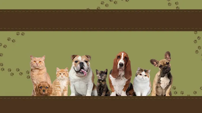 Burnsville Parkway Animal Hospital 9