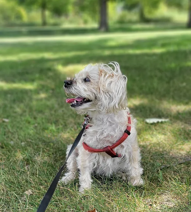 Total Pet Wellness 6