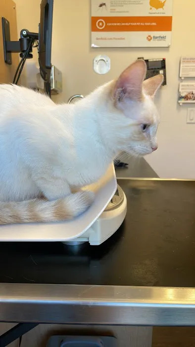 Banfield Pet Hospital 1