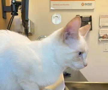 Banfield Pet Hospital