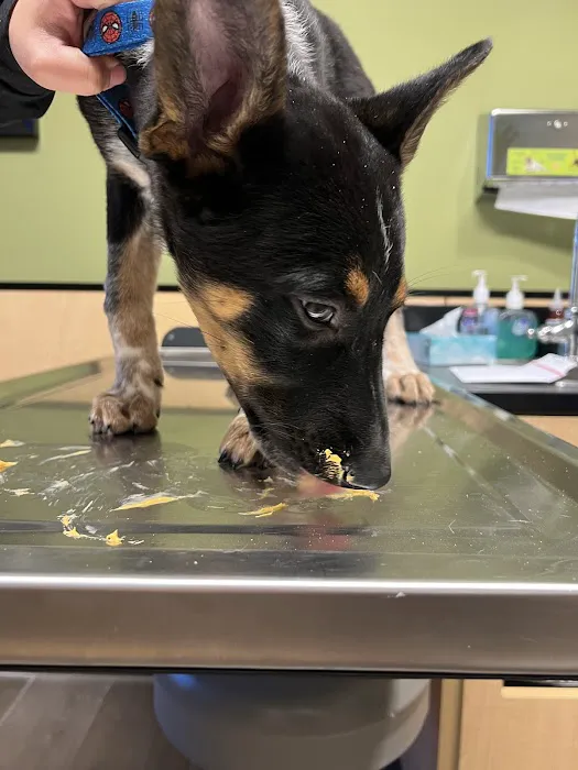 Banfield Pet Hospital 5