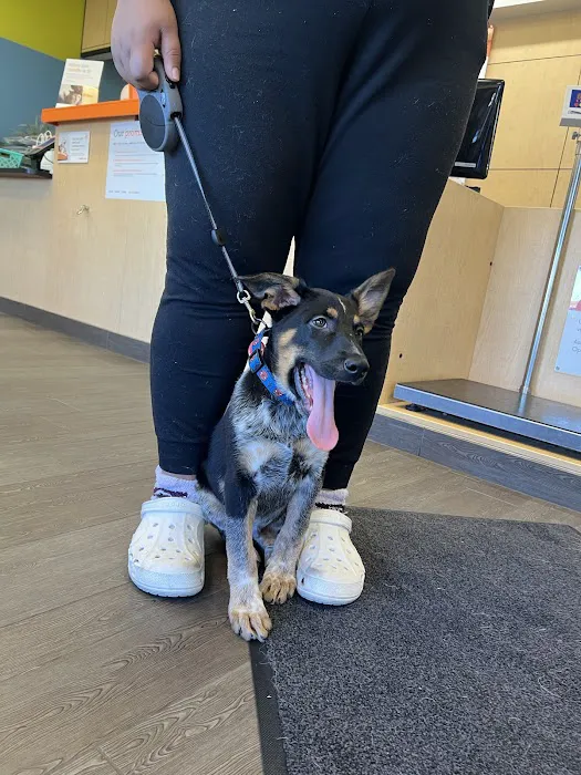 Banfield Pet Hospital 4