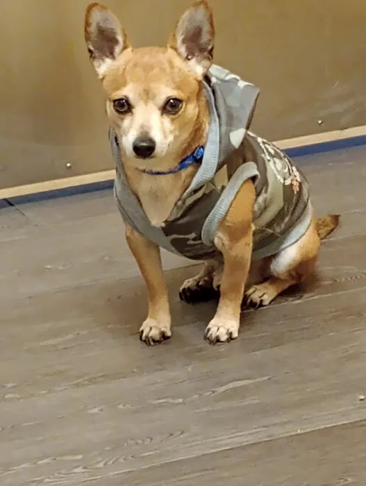 Banfield Pet Hospital 7