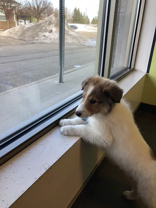 Banfield Pet Hospital 9