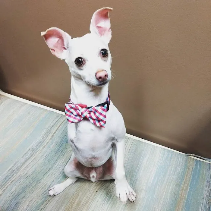 Anderson Lakes Animal Hospital 8