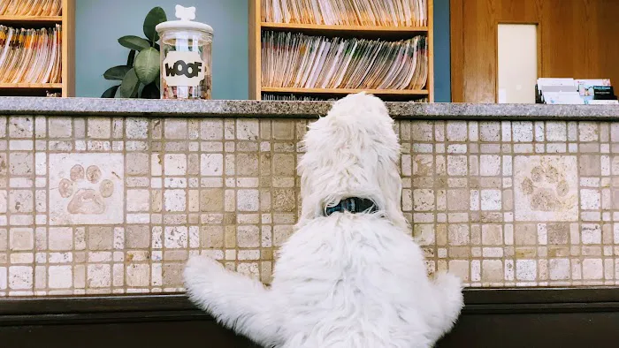 Anderson Lakes Animal Hospital 9