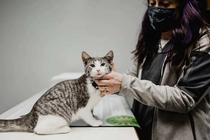 Prairie Village Pet Hospital 8