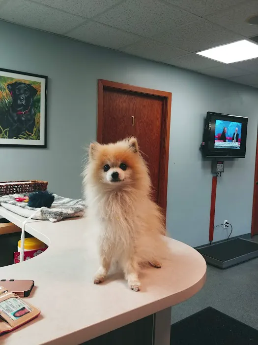 Prairie Village Pet Hospital 5