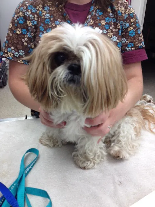VCA Chanhassen Animal Hospital 5