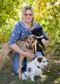 VCA Chanhassen Animal Hospital 2
