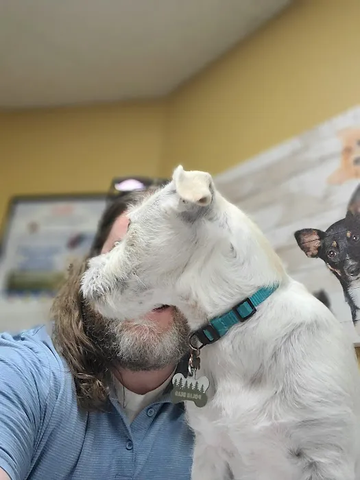 VCA Chanhassen Animal Hospital 3