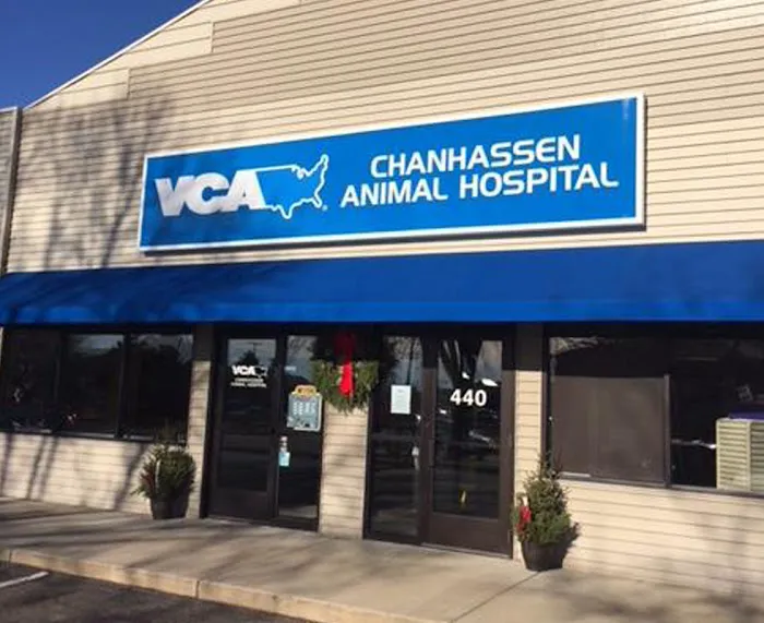 VCA Chanhassen Animal Hospital 10
