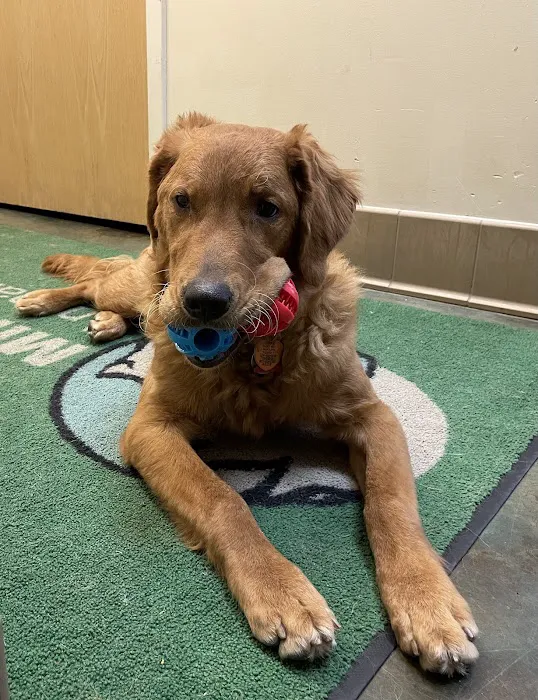 Minnetonka Animal Hospital 7