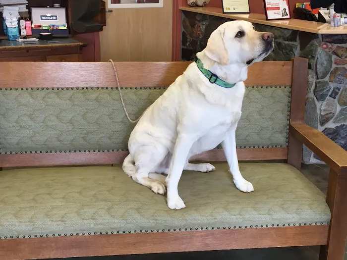 Minnetonka Animal Hospital 6