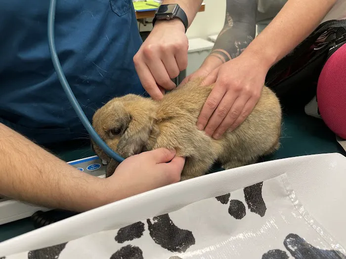 Minnetonka Animal Hospital 4