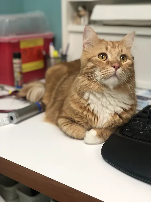 Minnetonka Animal Hospital 2