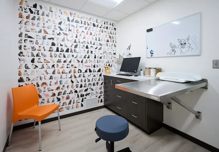 Wayzata Pet Hospital 7