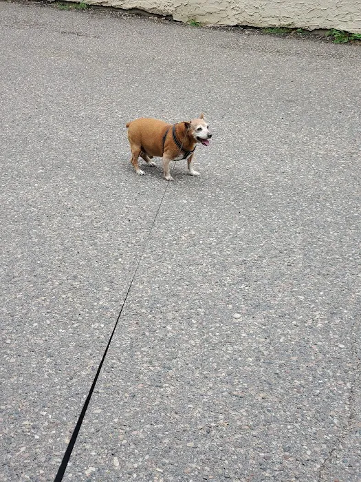 Long Lake Veterinary Clinic 7