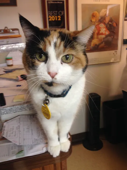 Long Lake Veterinary Clinic 6