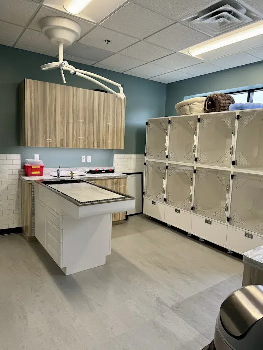 North Paws Veterinary Clinic- General Practice and Urgent Care 10