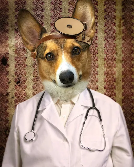 North Paws Veterinary Clinic- General Practice and Urgent Care 6