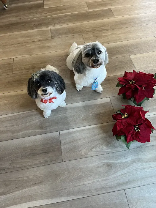 Corcoran Pet Care Center 10