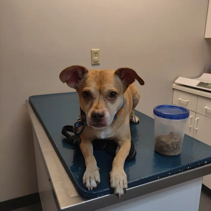 Corcoran Pet Care Center 5