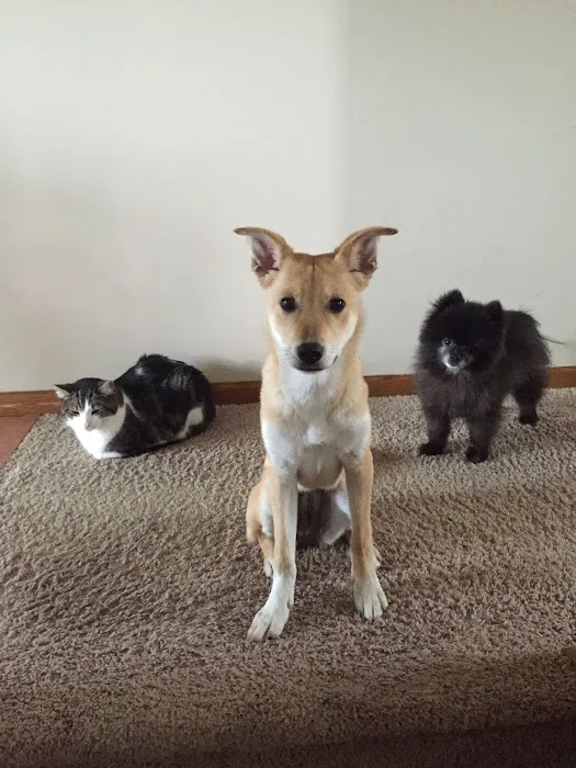 Corcoran Pet Care Center 4