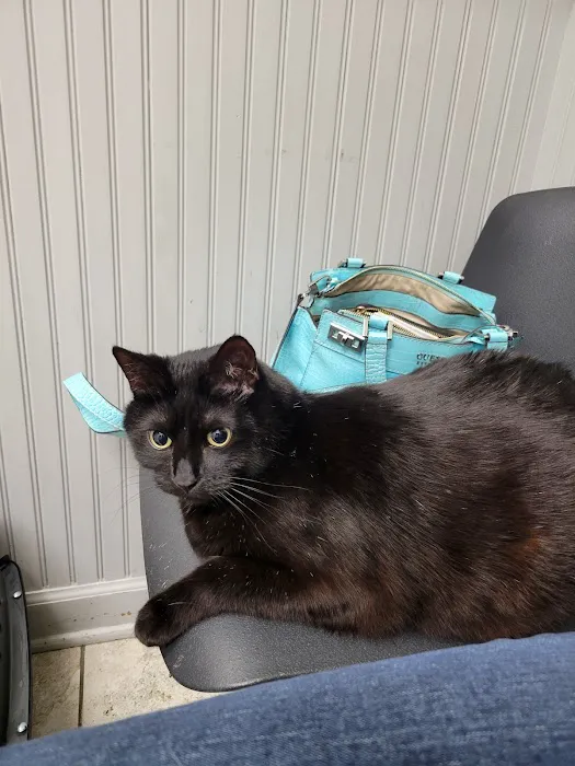 Rum River Veterinary Clinic 6