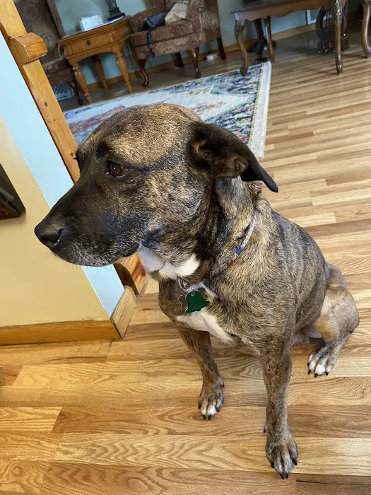 Ramsey Animal Hospital 4