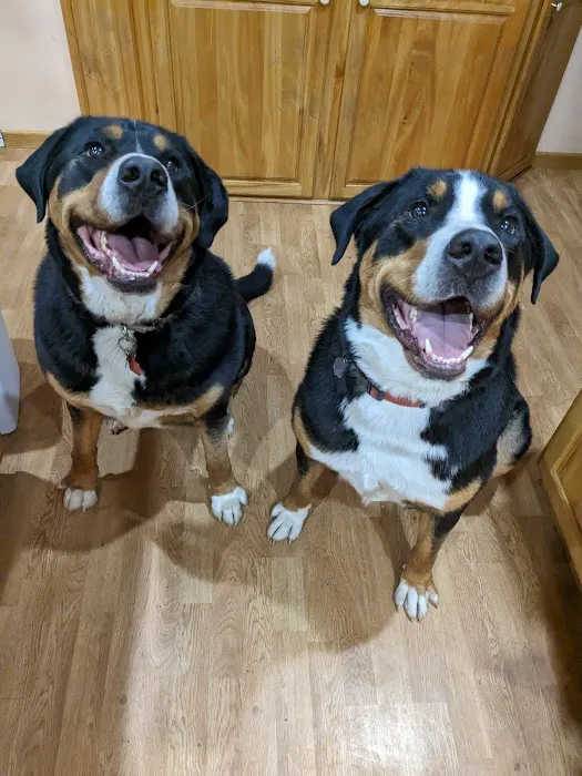 Riverbend Pet Hospital 1