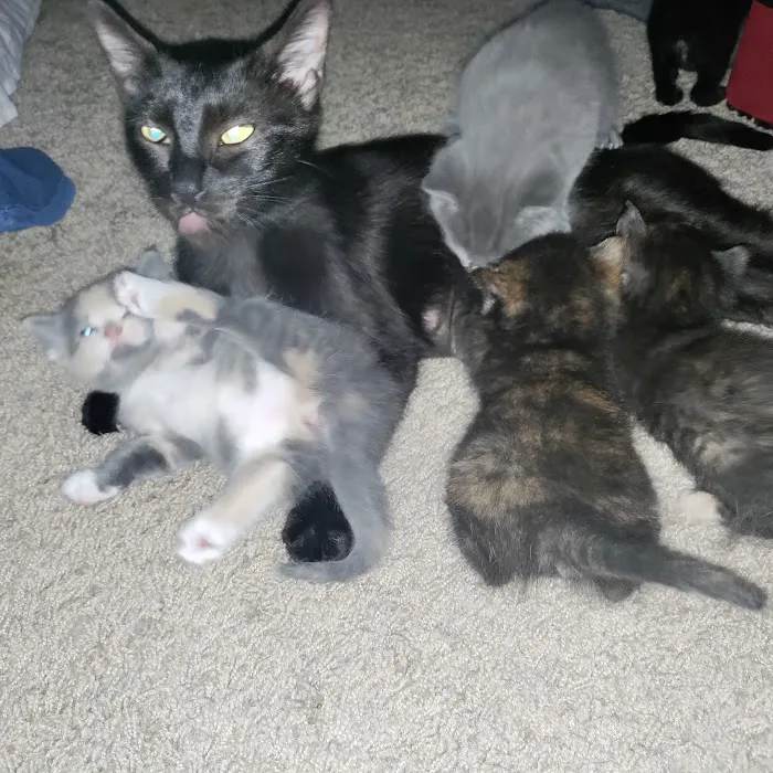 Riverbend Pet Hospital 7