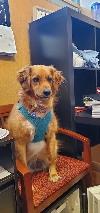 Town & Country Veterinary Services 2
