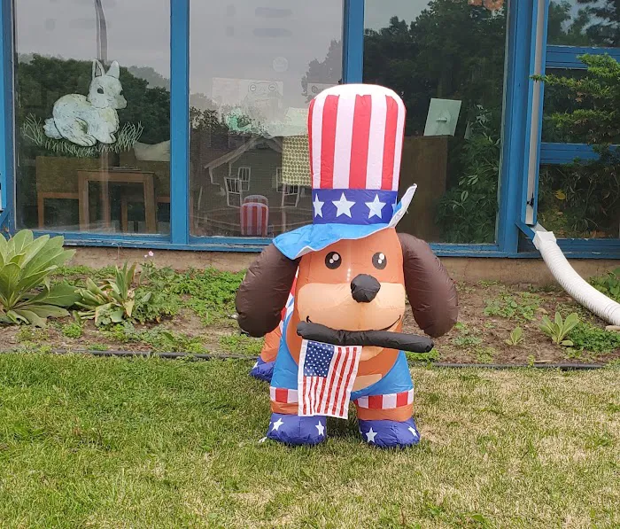 Town & Country Veterinary Services 8