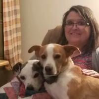 Woodman Julie DVM ico