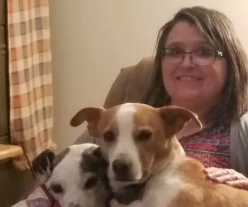 Woodman Julie DVM