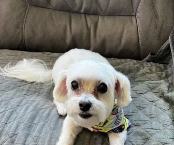 Burnsville Animal Clinic