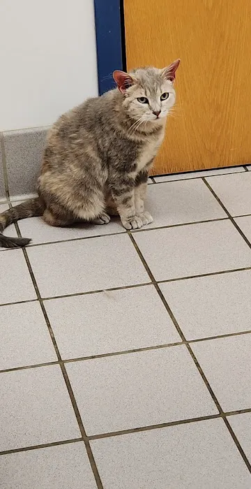Burnsville Animal Clinic 5