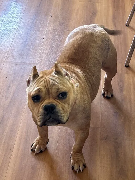 Burnsville Animal Clinic 10