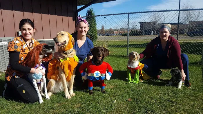 Dakota Pet Hospital 8