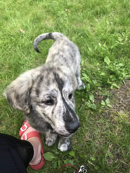 Dakota Pet Hospital 4